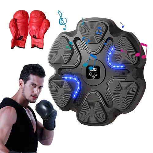 Fitness equipment gym - fitness,